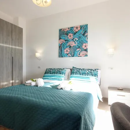 Pet Friendly In