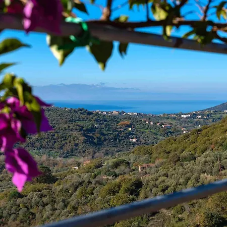 Σπίτι διακοπών Pet Friendly In Laureana Cilento